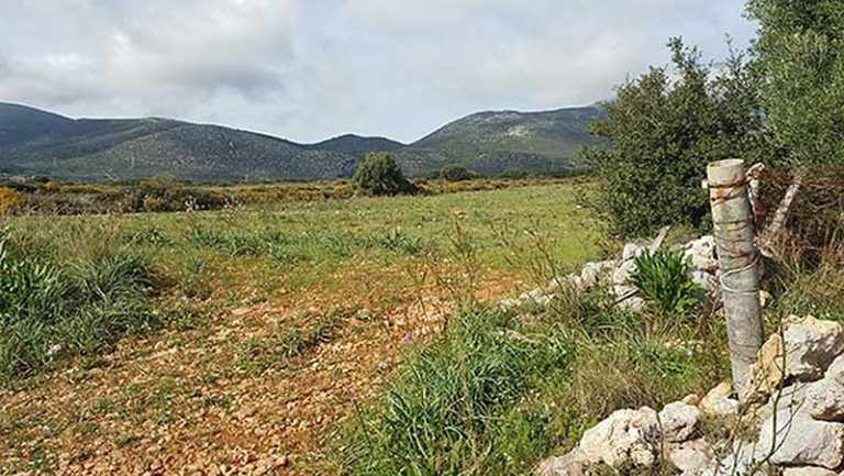 agrotemaxio-2052-thea sto vouno