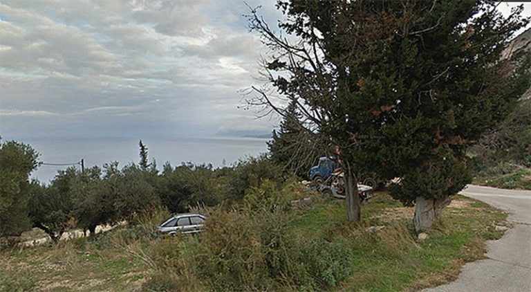 plot-2628-view from the plot