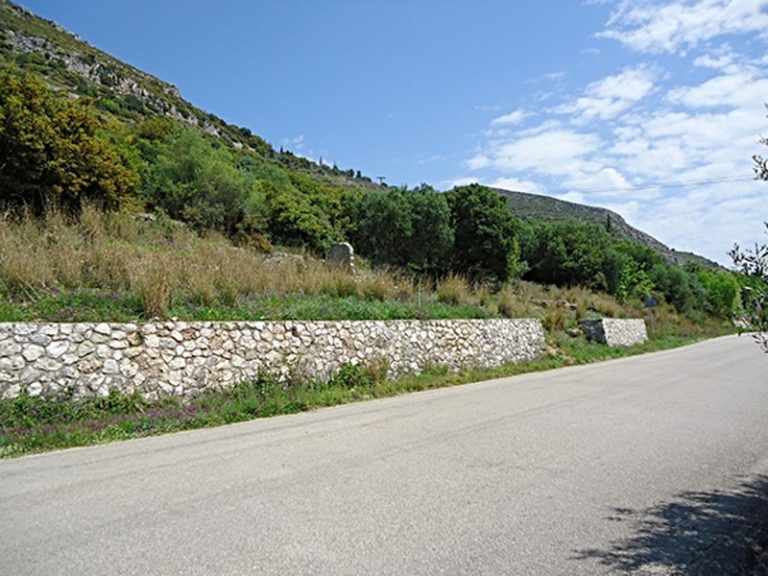 plot-1991-view of the plot from the road
