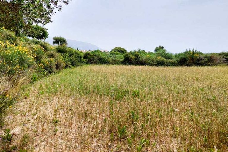 agrotemaxio-3076-apopsi agrotemaxiou