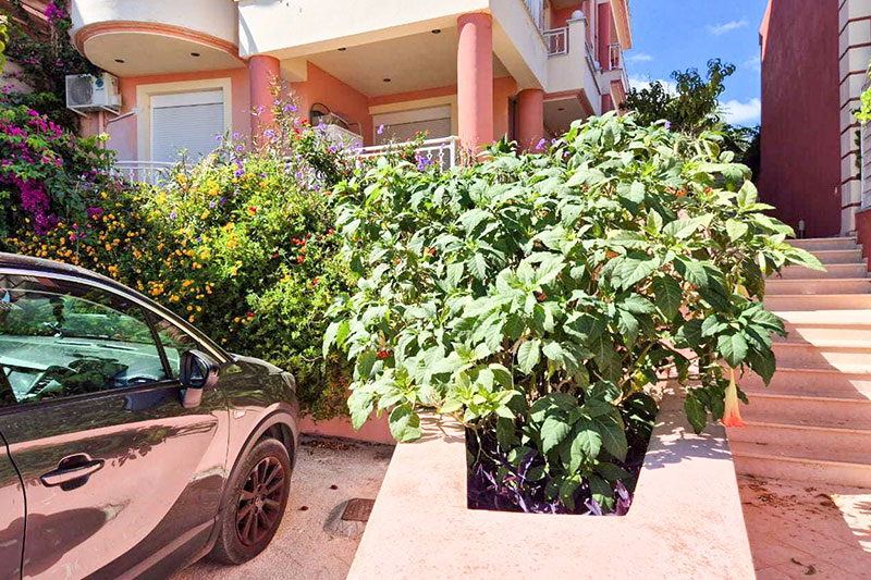 apartment-3343-in Argostoli