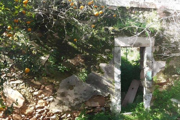 view of the pre earthquake property in Svoronata - property id 2157