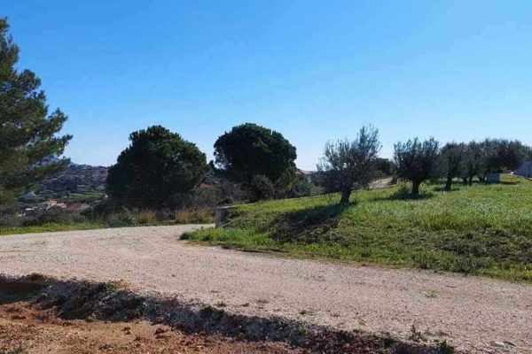 parcel-2655-located in Leivathos area