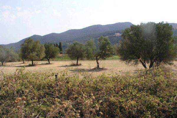 A plot for sale in Agia Eirini, Kefalonia