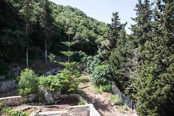 3-storey house-2323-view of the landscape