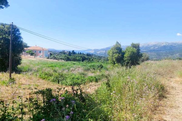 oikopedo-3081-plaini opsi oikopedou