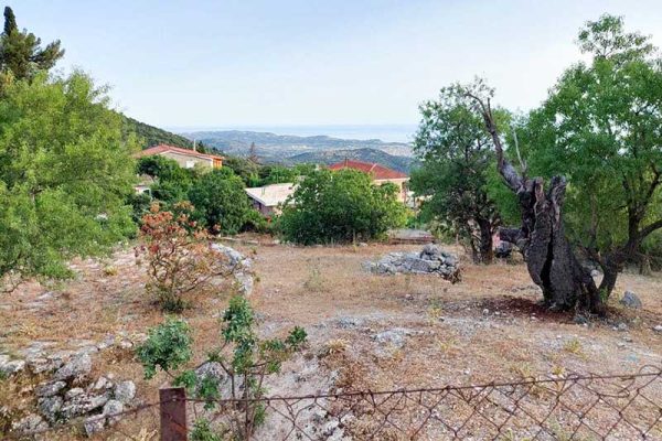 plot-3091-fenced plot
