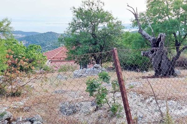 plot-3091-in quiet areas