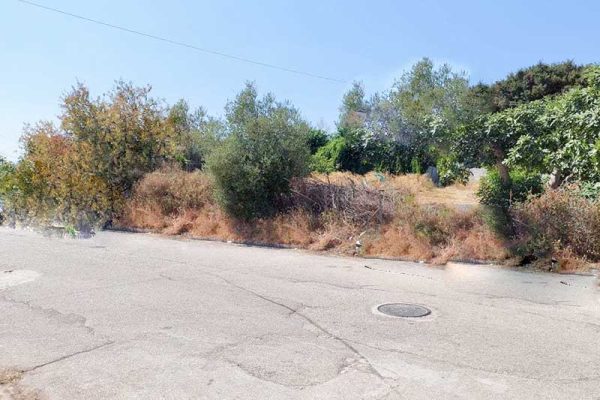3129-plot-with road