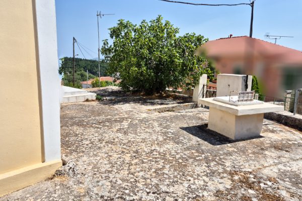 house-3329-view of the yard