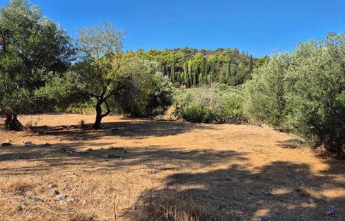 oikopedo-3334-epipedo