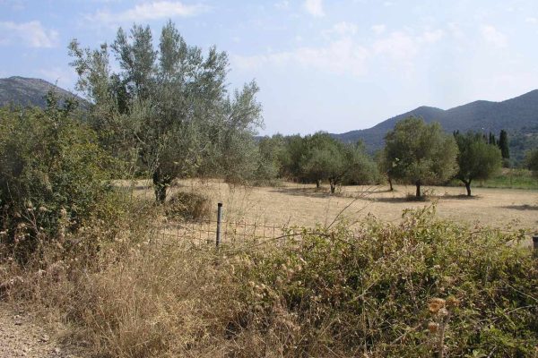 plot-2694-located in Ag.Eirini