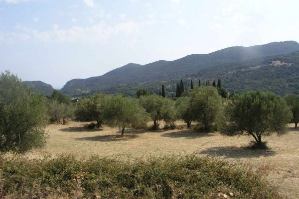 A 1318,91 sq.m. plot is for sale in Agia Eirini
