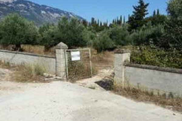 parcel-2007-view of the entrance