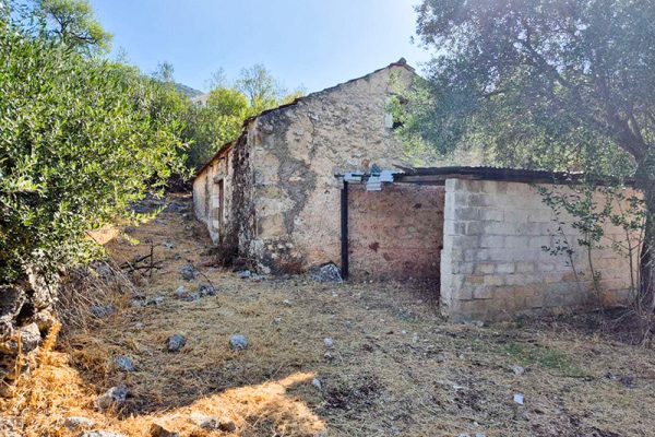 oikopedo-3336-plaini opsi katoikias