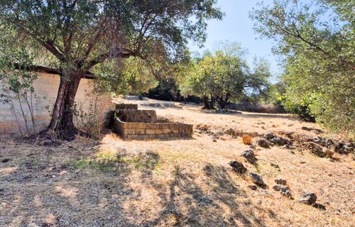 oikopedo-3336-apopsi oikopedou