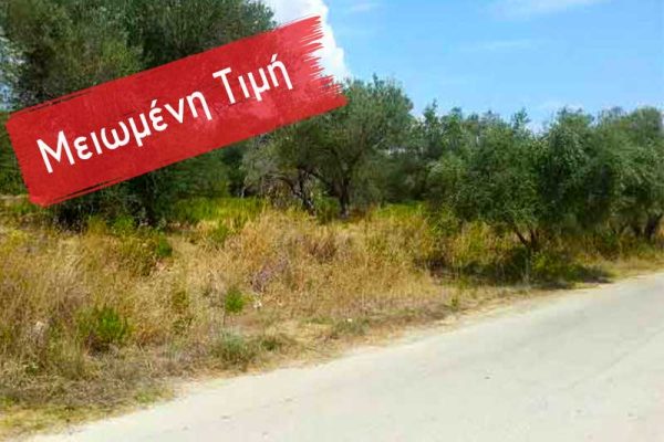 Reduced-Price-gr