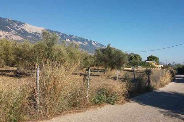 plot-2272-view of the landscape