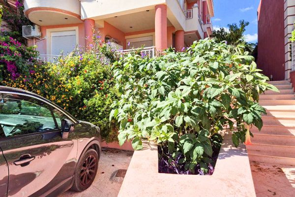 apartment-3343-in Argostoli