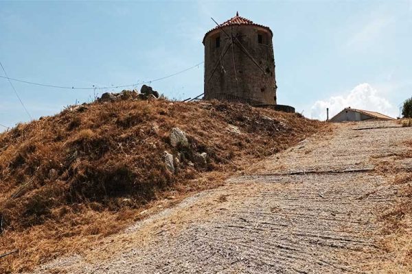 windmill-2891-with road