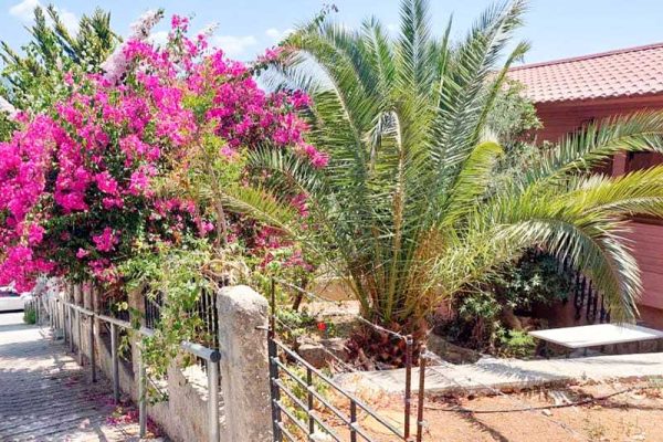 https://www.enos-properties.com/wp-content/uploads/elementor/thumbs/house-3118-side-view-of-the-property-qrorykp7ra558fnp8zqtbbatucritd6giqvi6bkn8g.jpg