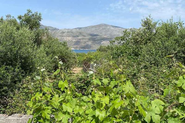 house-2426-view of the garden and the sea