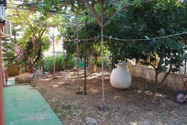 detached house-2089-view of the garden