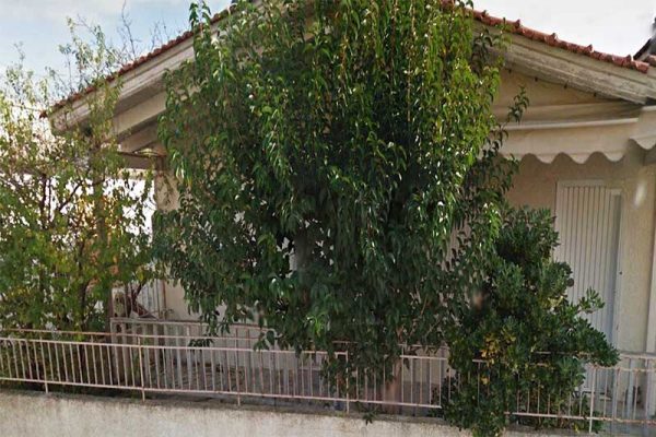 house-2876-in the city center