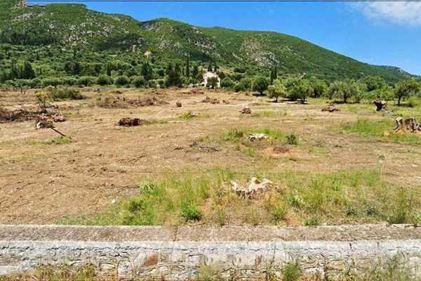 plot-2320-view of the landscape