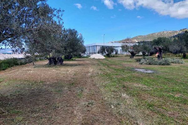land-2870-has a frontage of 32m