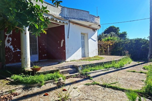 view of the ground floor property in Mihalitsata - property id 3361