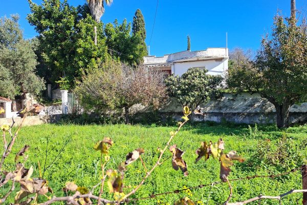 Garden with trees and the house in Mihalitsata - property id 3361