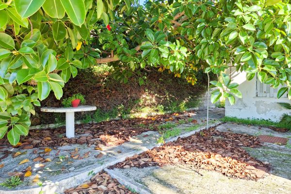 garden area with stone in Mihalitsata - property id 3361