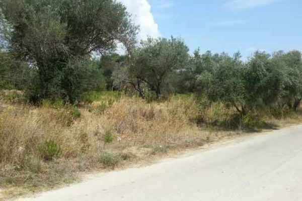 parcel-2008-view of the parcel from the road