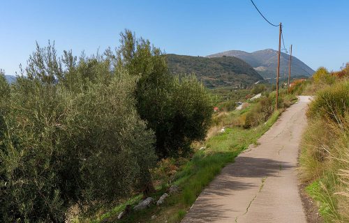 view of the parcel in Kontogourata - property id 3364