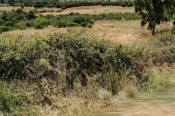 view of the parcel in Kontogourata - property id 3366