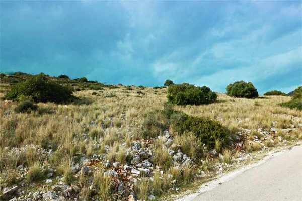 Parcel for sale between Atheras and Livadi, Kefalonia