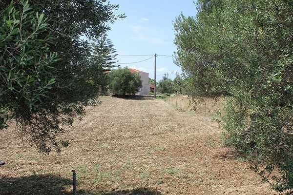 plot-2370-plot in Chavriata village