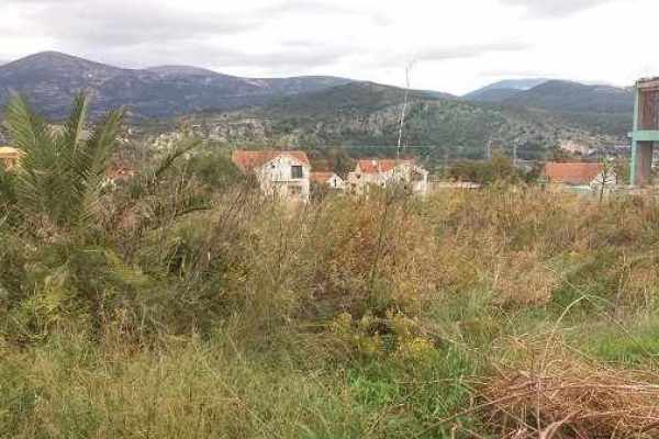 plot-2130-view of the landscape