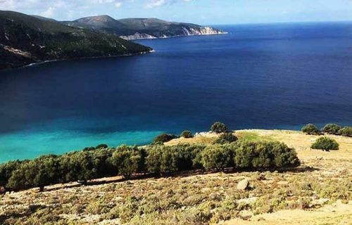 parcel-2463-located above the beach