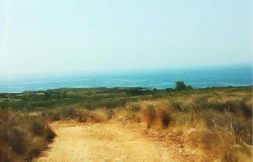 parcel-2850-with sea view