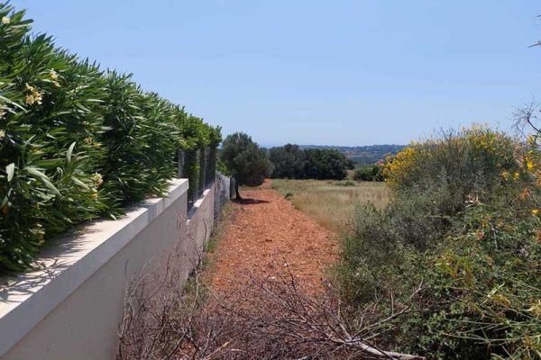 parcel-2894-fenced parcel