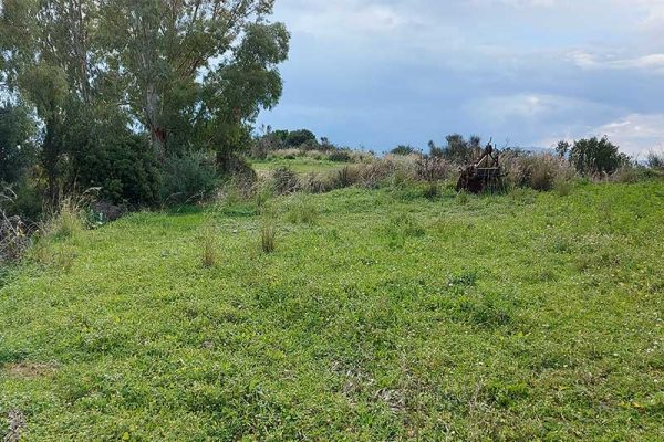 agrotemaxio-2847-konta stin paralia