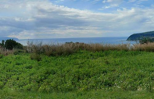 parcel-2847-with sea views