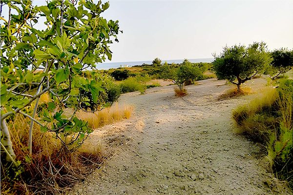 ακίνητο με θέα στην Παλική - Κωδ. Ακινήτου 2252