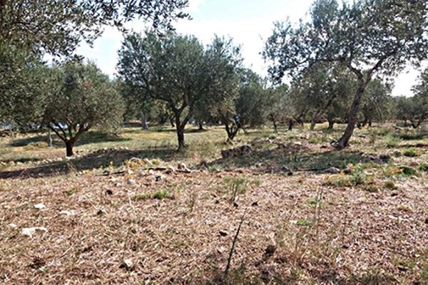 plot-for-sale-kouvalata-lixouri-in-kefalonia-2338-02