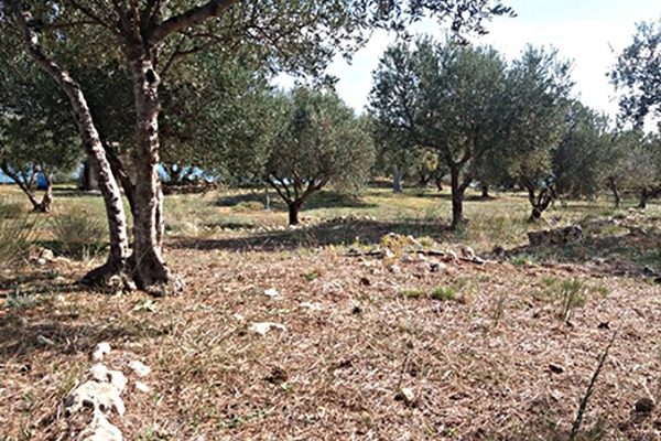 plot-for-sale-kouvalata-lixouri-in-kefalonia-2338-03