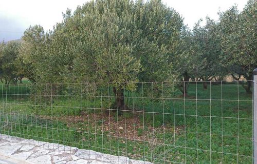 plot-for-sale-mavrata-2838-2