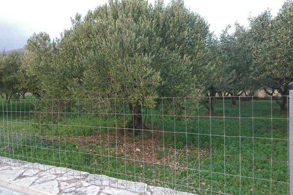 plot-for-sale-mavrata-2838-2