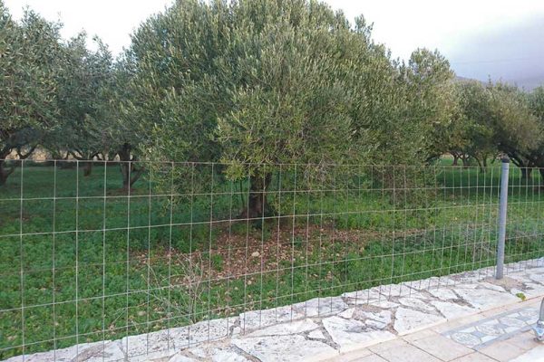 plot-for-sale-mavrata-2838-3